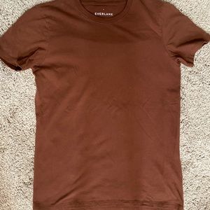 Everlane boxy tee Rust color